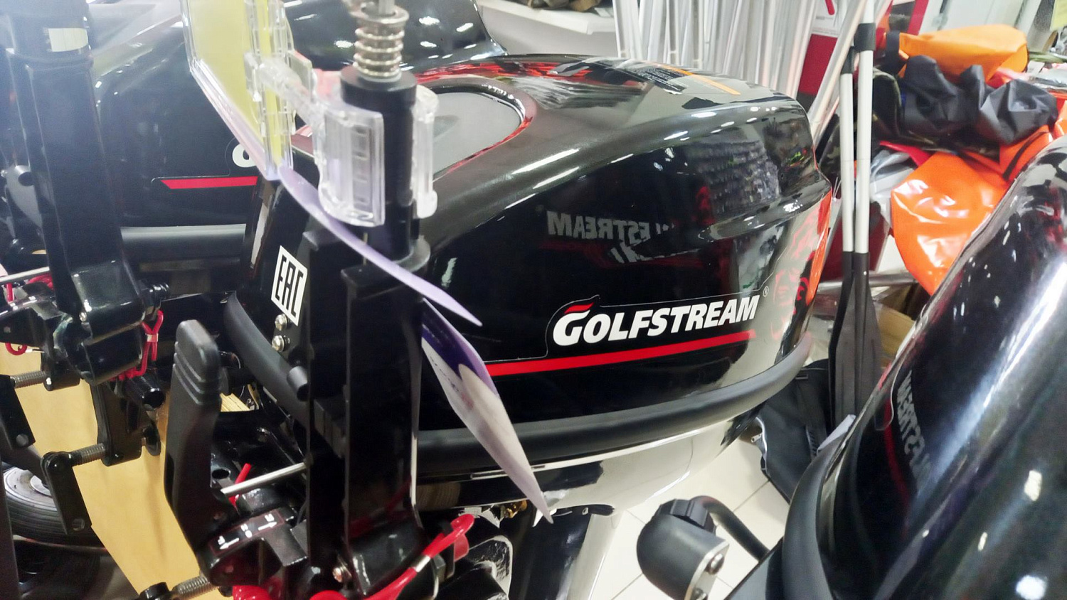 Лодочный мотор Golfstream T9.9BMS (USB)