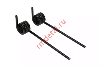 Пружины задней подвески 110200139 (2 шт)
